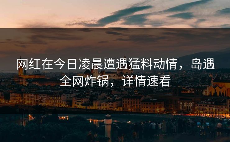 网红在今日凌晨遭遇猛料动情，岛遇全网炸锅，详情速看